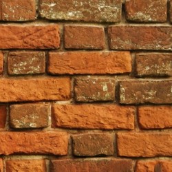 bricks