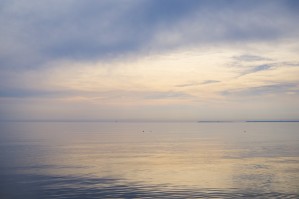 Golden sea