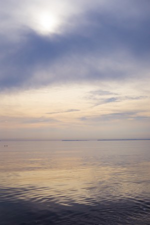 Gold and blue