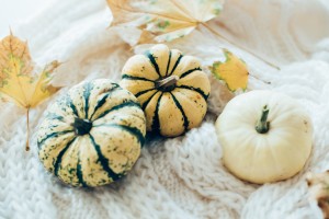 Three pumpkins