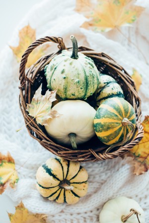 Autumn pumpkins in a basket