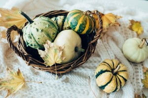 Autumn pumpkins