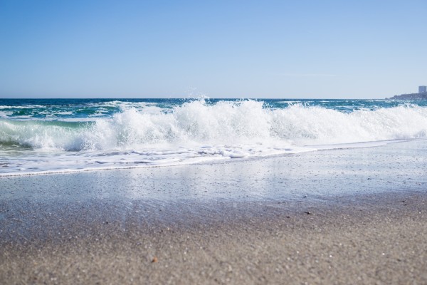 The wave Print