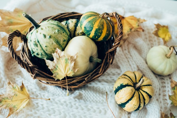 Autumn pumpkins Print