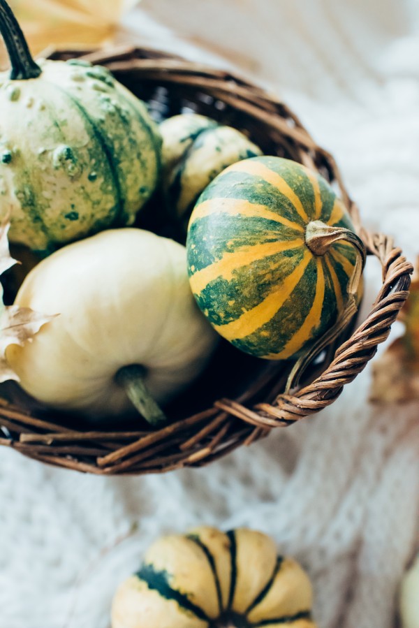 Green pumpkins Print