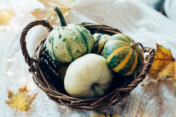 Three pumpkins in a basket by Daria Minaeva