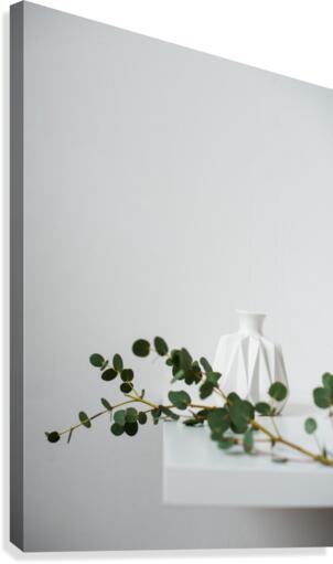 Minimal Canvas Print