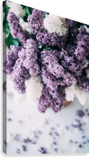 Lilac flowers Canvas Print