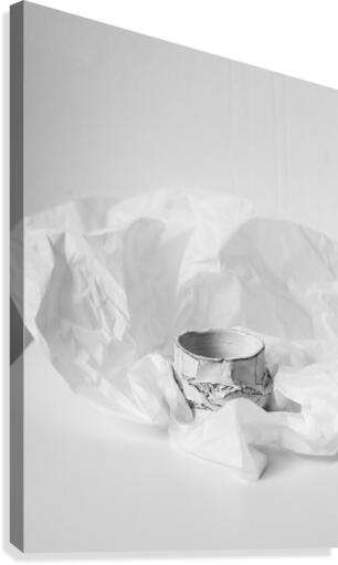 The White Canvas Print