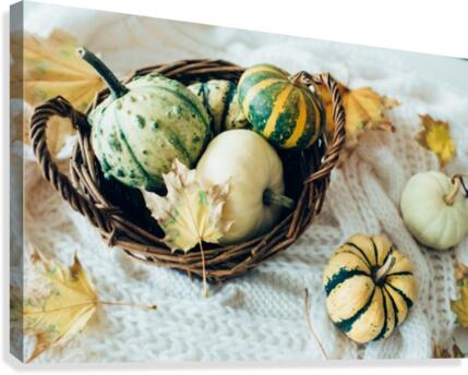 Autumn pumpkins Canvas Print