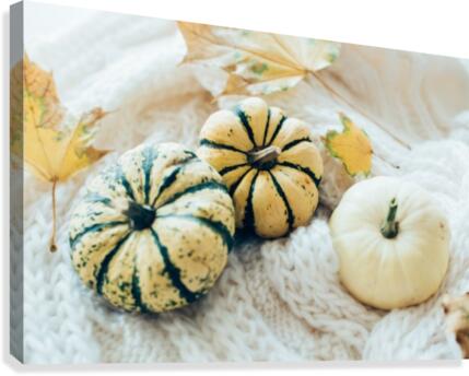 Three pumpkins  Canvas Print