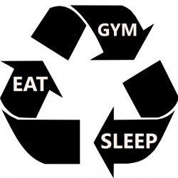 eat gym sleep