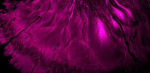 Chromatic Reverie