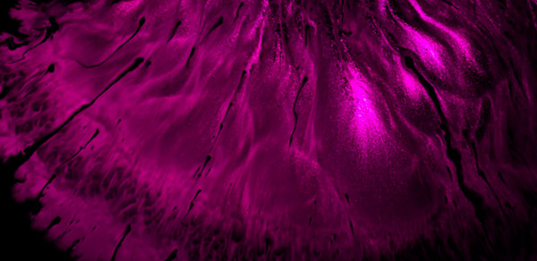 Chromatic Reverie by Samo69Photography