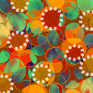 School Ground Wattle