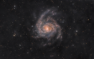 The Hidden Galaxy