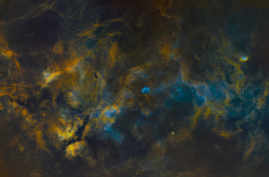 Starless Cygnus