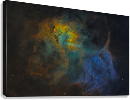 The Lion Canvas Print