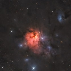 The Northern Trifid