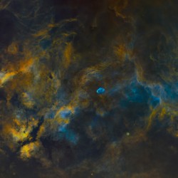 Starless Cygnus