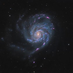 The Nova and Friends 