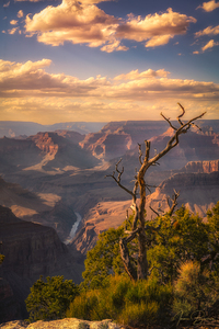 At the Rim