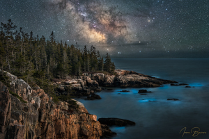 Bioluminescence