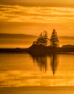 Essence of Acadia 2