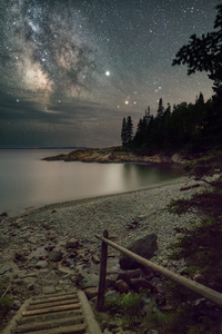 To The Stars