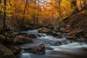 Ricketts Glen in the fall