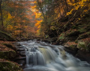 Ricketts Glen in the fall 2