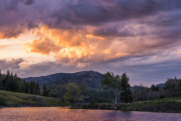 Acadia Sunsets  Print