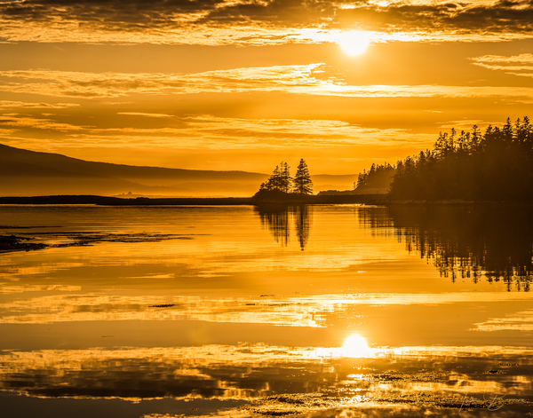 Essence of Acadia 1 by Imma Barrera