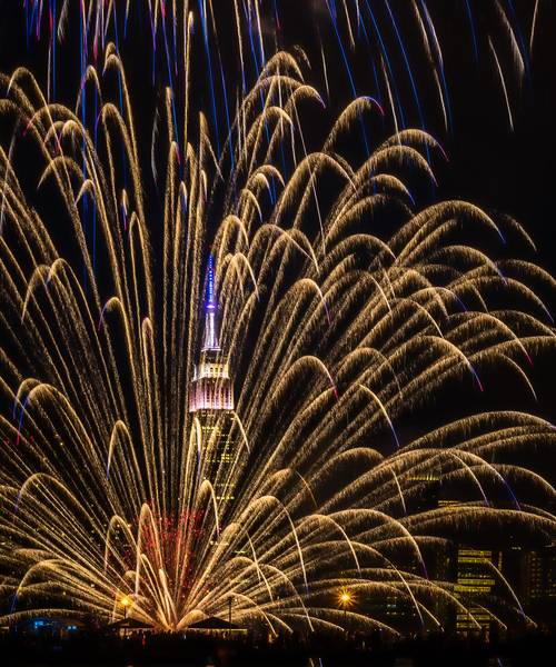 Fourth of July  by Imma Barrera