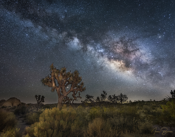 Joshua and the sky  Print