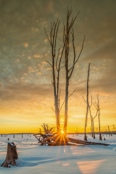 Sunrise at Manasquan   Print
