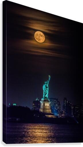 Magical Moonlight  Canvas Print
