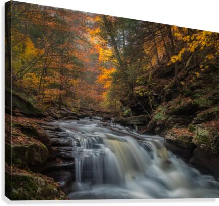 Ricketts Glen in the fall 2  Canvas Print