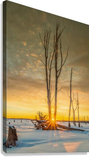 Sunrise at Manasquan   Canvas Print