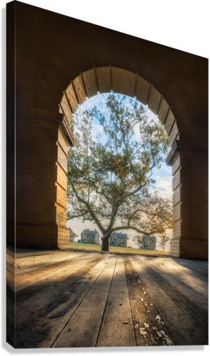 Let the light in  Canvas Print