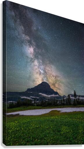 Mt Reynolds  Canvas Print
