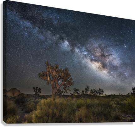 Joshua and the sky  Canvas Print