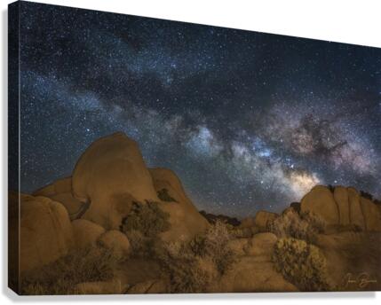Skull Rock Canvas Print