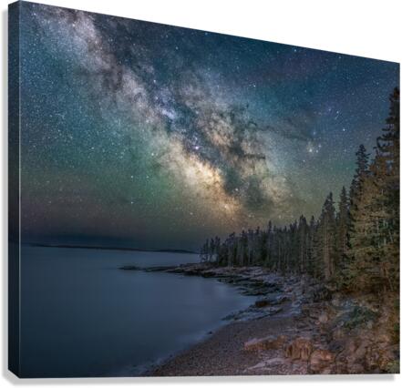 Schoodic Cove ANP 4  Canvas Print