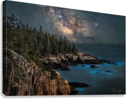 Bioluminescence  Canvas Print