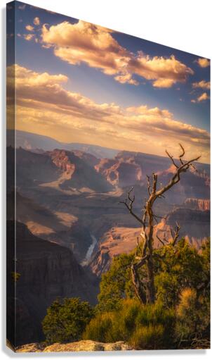 At the Rim  Canvas Print