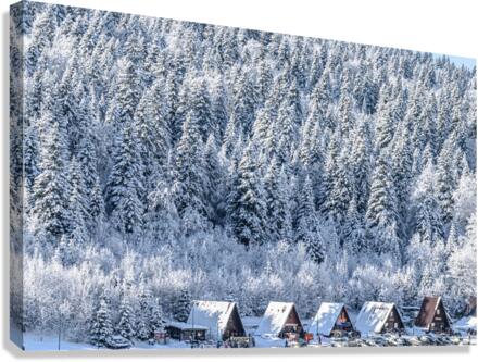 Mountain huts Canvas Print