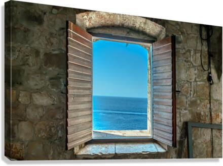 View through open window Canvas Print