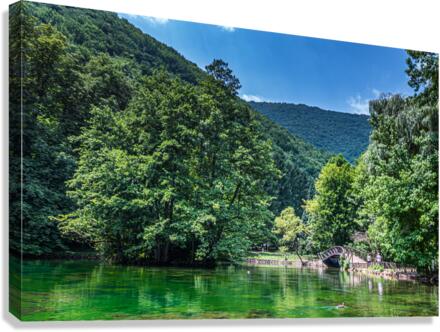 Green oasis Canvas Print