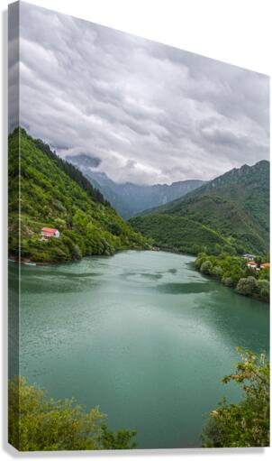 River stream Canvas Print